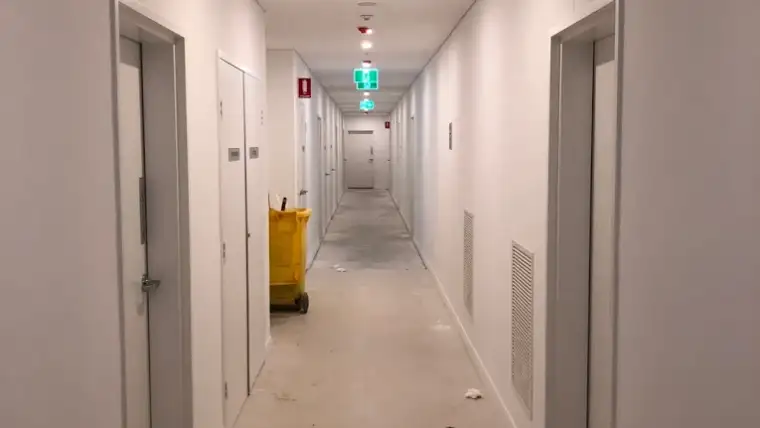 painting job by ability painting service pty ltd putney nsw 654260