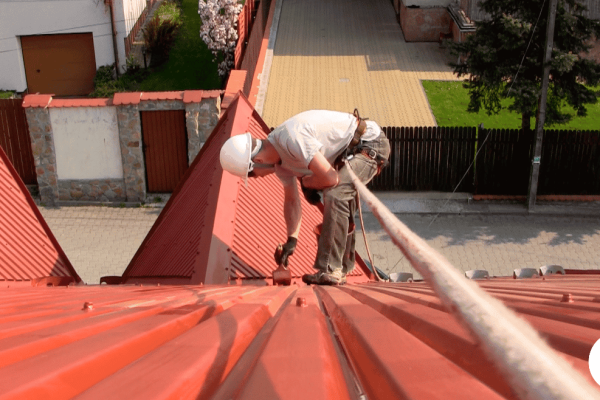 1. roof paint
